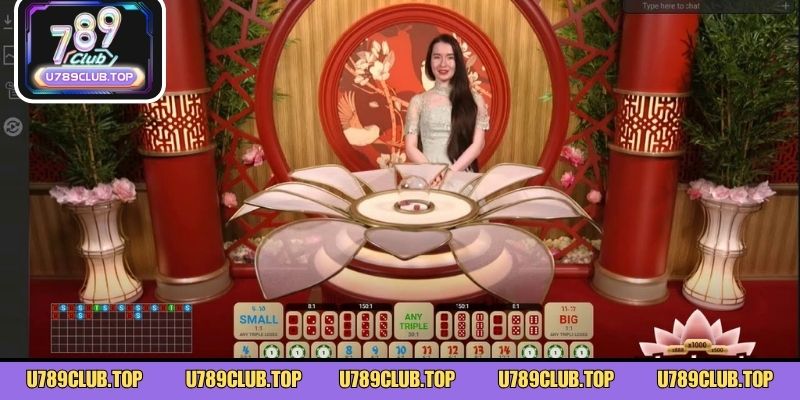 Bí kíp vàng trong cách chơi Sicbo