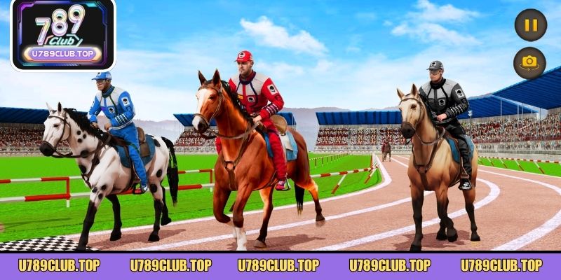 Tiết lộ bí quyết tham gia đua ngựa trực tuyến hiệu quả