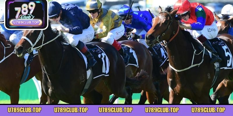 Luật Chơi Đua Ngựa – Nắm Vững Thông Tin, Không Lo Lạc Trận Danh sách các phân hạng đối tượng đua ngựa chuẩn