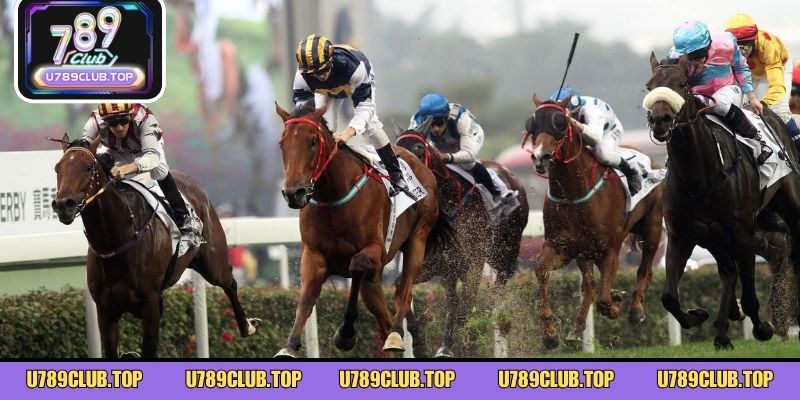 Luật Chơi Đua Ngựa – Nắm Vững Thông Tin, Không Lo Lạc Trận Tìm hiểu tổng quan về bộ môn đua ngựa hấp dẫn