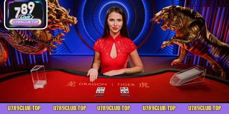 Học nhanh 5 dạng soi cầu rồng hổ dễ áp dụng nhất