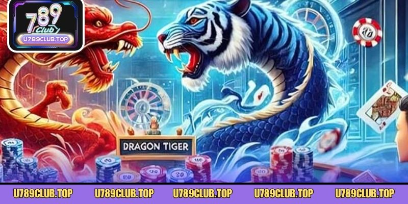 Lưu ý quan trọng cho newbie khi soi cầu rồng hổ