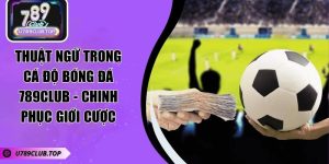 Thuật Ngữ Trong Cá Độ Bóng Đá 789CLUB - Chinh Phục Giới Cược