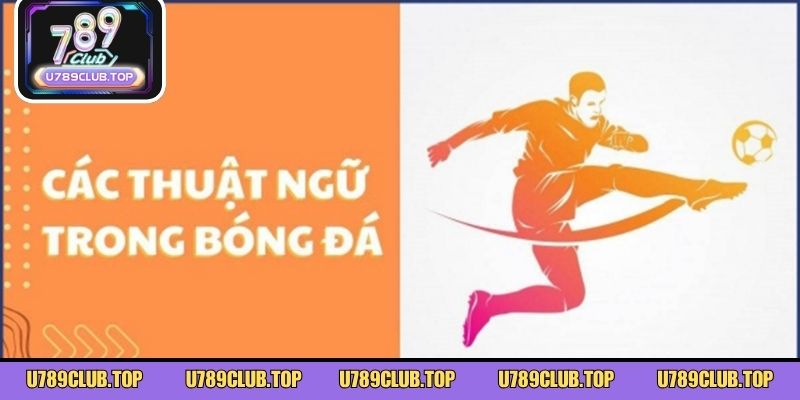 Tổng hợp kho thuật ngữ cá độ đầy đủ cho người mới bắt đầu